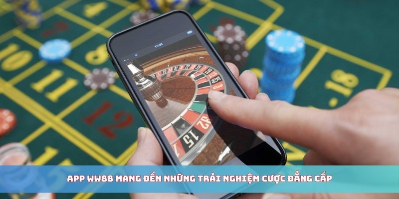 App WW88 mang đến những trải nghiệm cược đẳng cấp