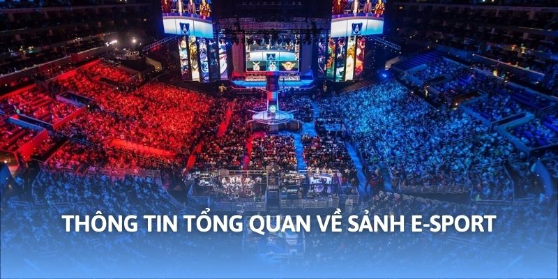 Thông tin tổng quan về sảnh E-sport WW88